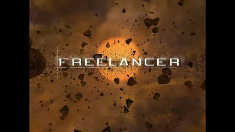 Succeed as a Freelancer Online